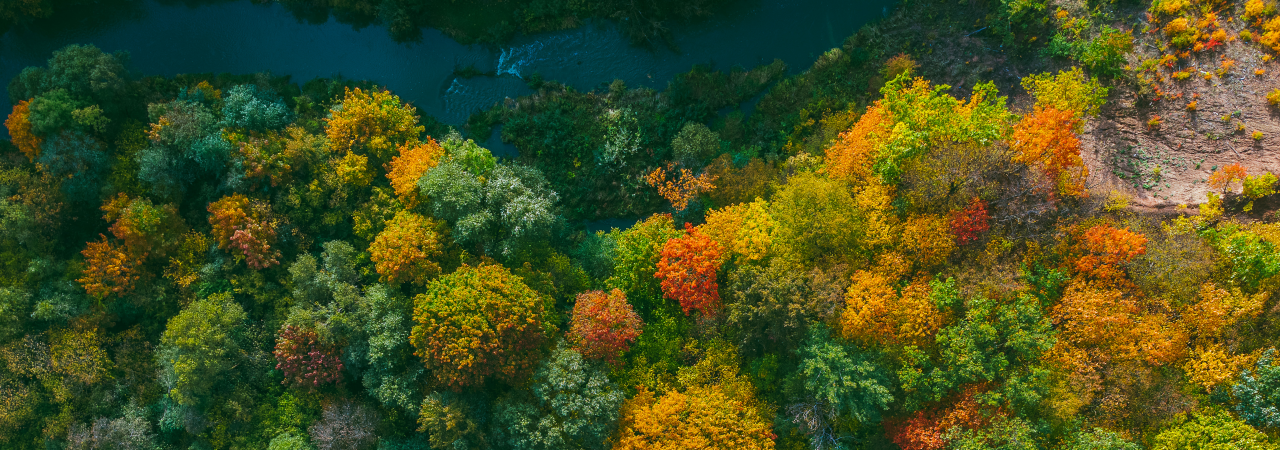 Atsinaujinančių energijos išteklių panaudojimas
