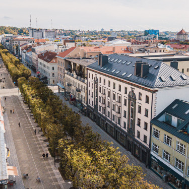 Tvarumas padeda taupyti: Kaune žaliosios atliekos iš miesto parkų virsta šiluma daugiabučiams 